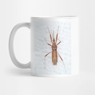 Spiny Assassin bug Mug